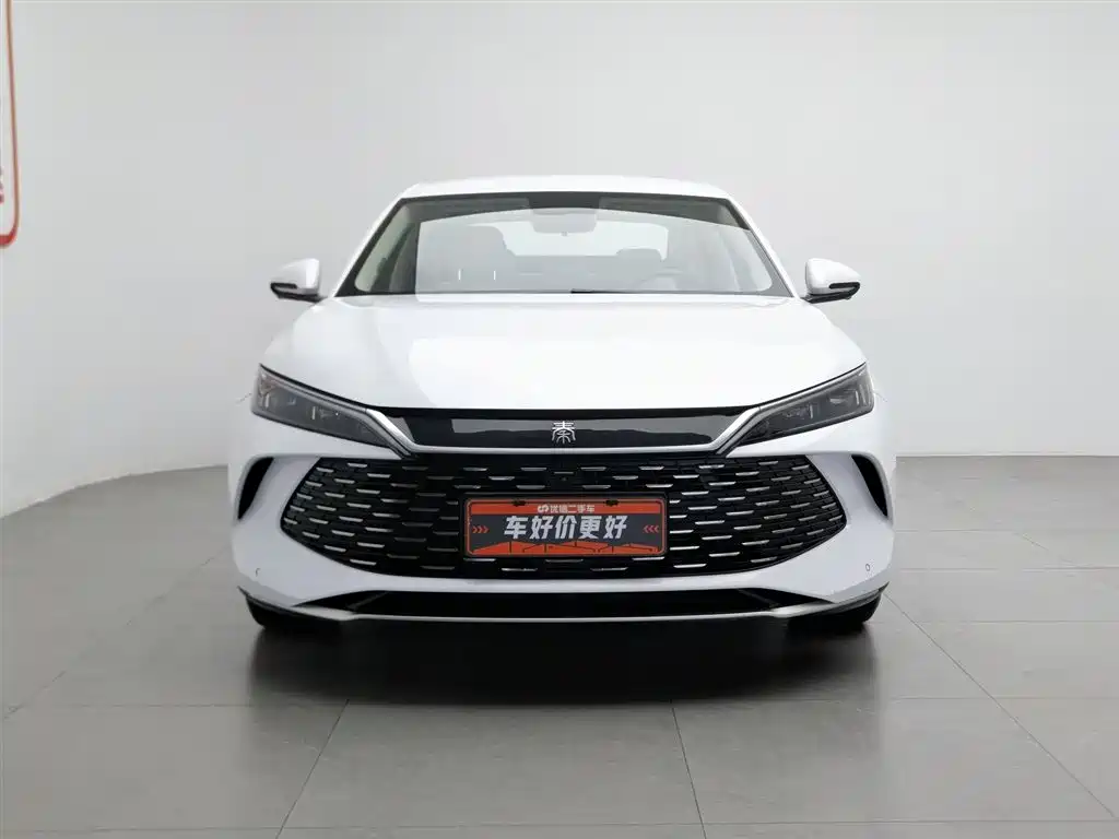 Qin L DM-i 80 KM Transcend