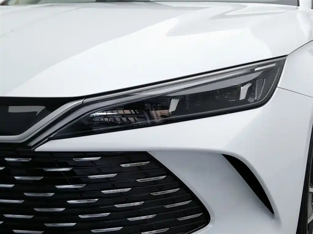 Qin L DM-i 80 KM Transcend