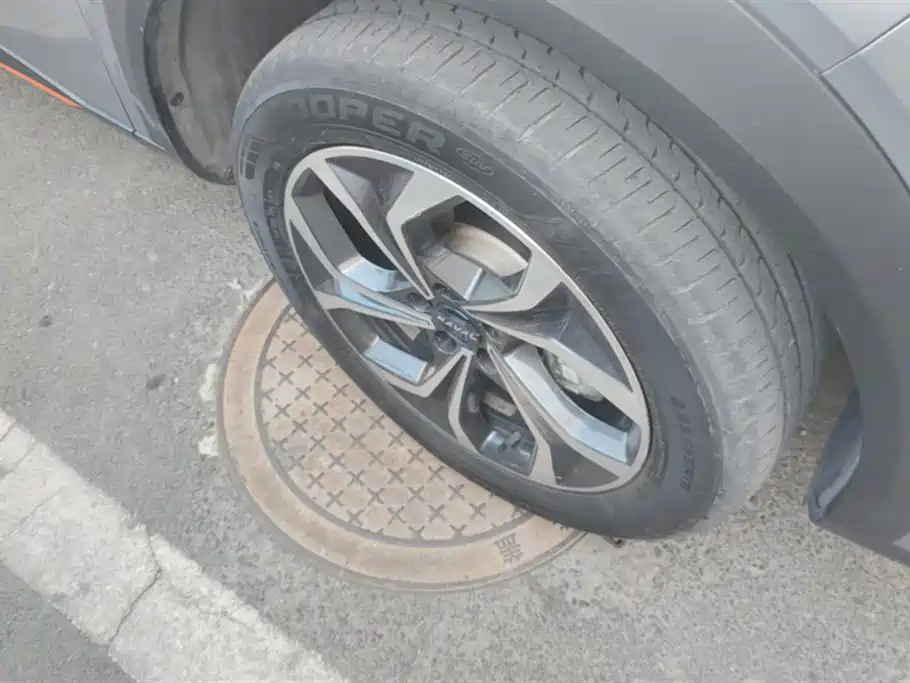 Haval Shenshou 1.5 T Smart Enjoyment