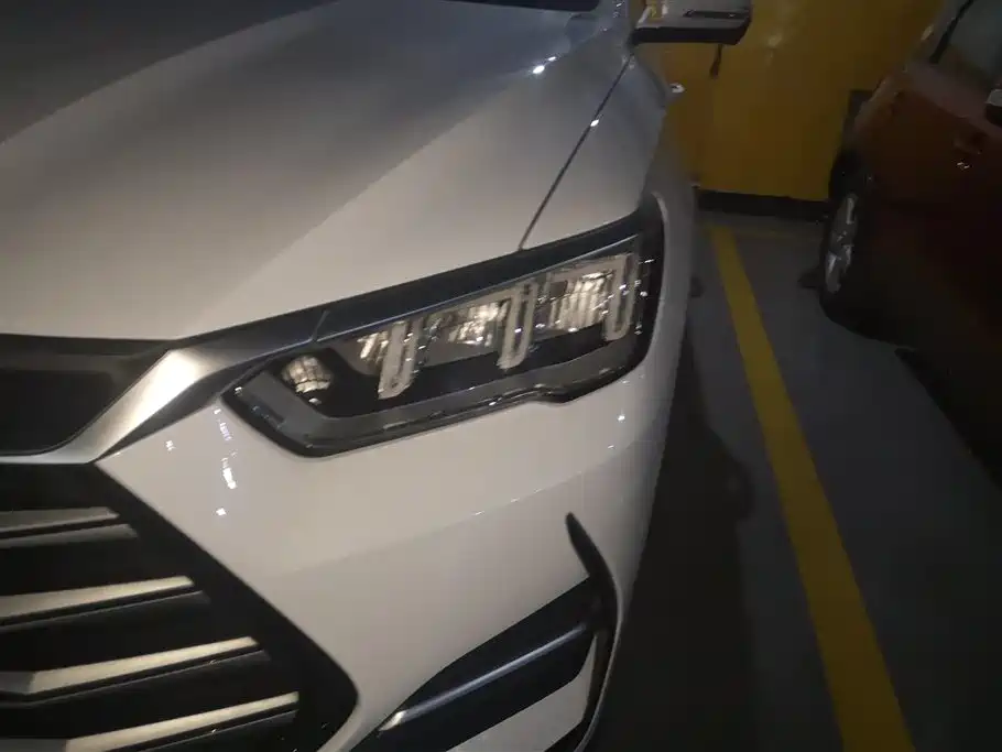 Song Pro NEV DM-i 110 km Flagship Pro