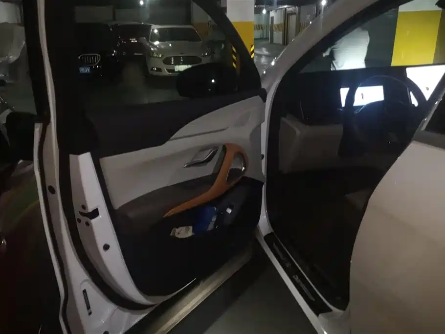 Song Pro NEV DM-i 110 km Flagship Pro