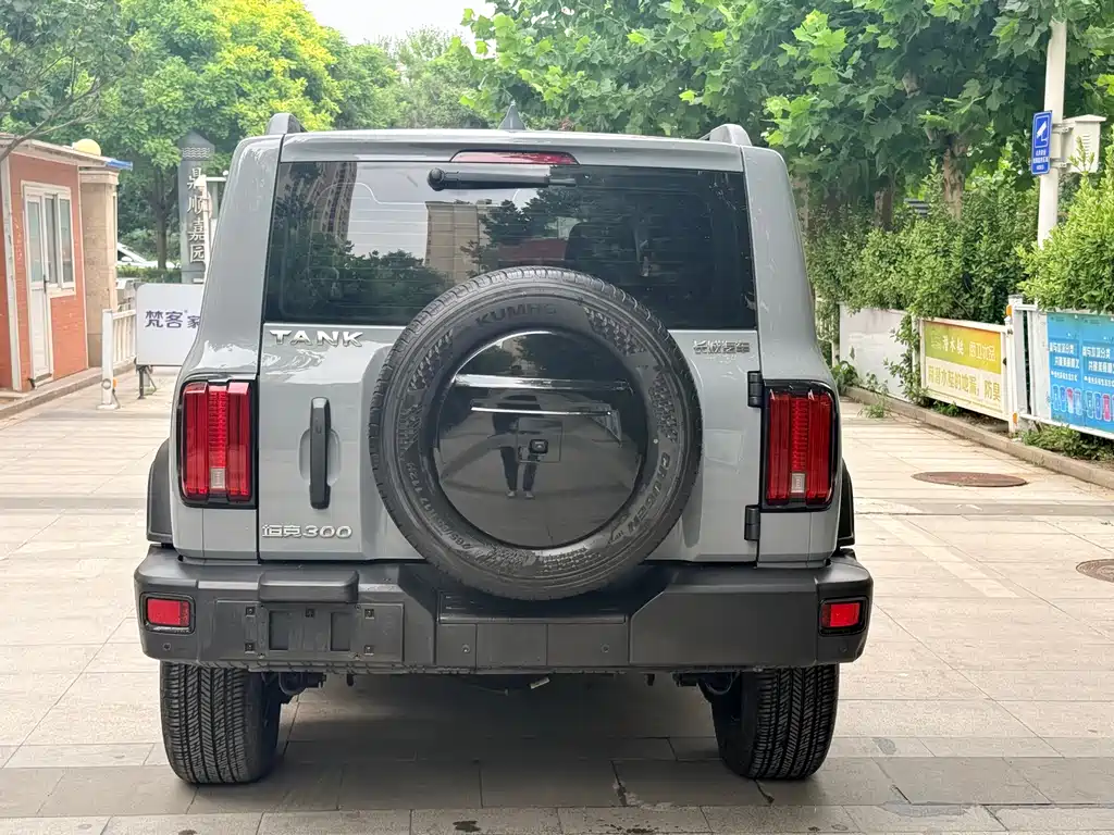 Tank 300 Offroad 2.0 T Conqueror