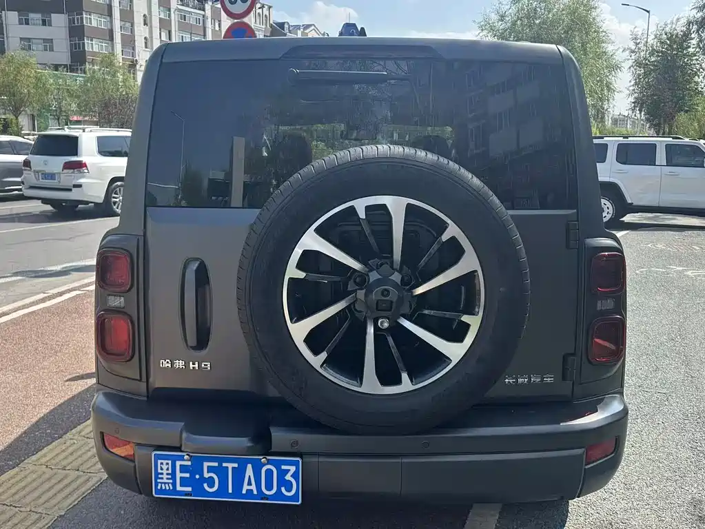 Haval H9 2.0 T Gasoline 4 WD Extreme Realm
