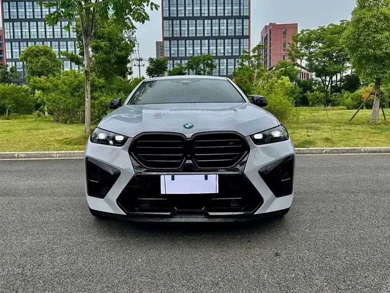 BMW X6 M X6 M Thunder