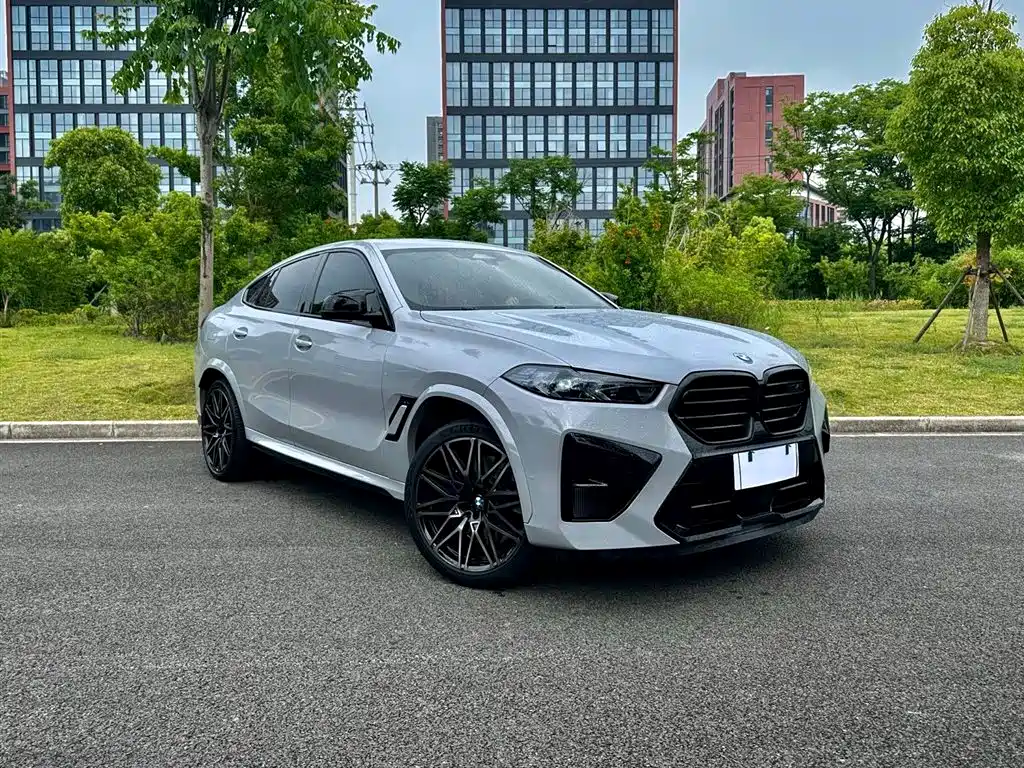 BMW X6 M X6 M Thunder