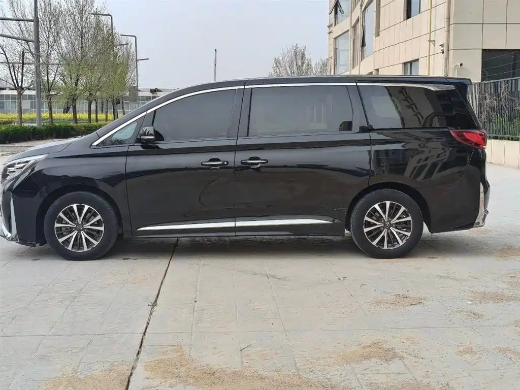 GAC Trumpchi M8 Leading Show Series 390 T Premium