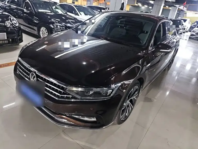 Volkswagen Magotan 380 TSI DSG Flagship
