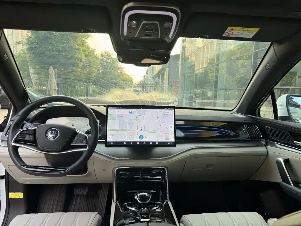 Tang NEV DM-p 215 KM 4 WD Flagship