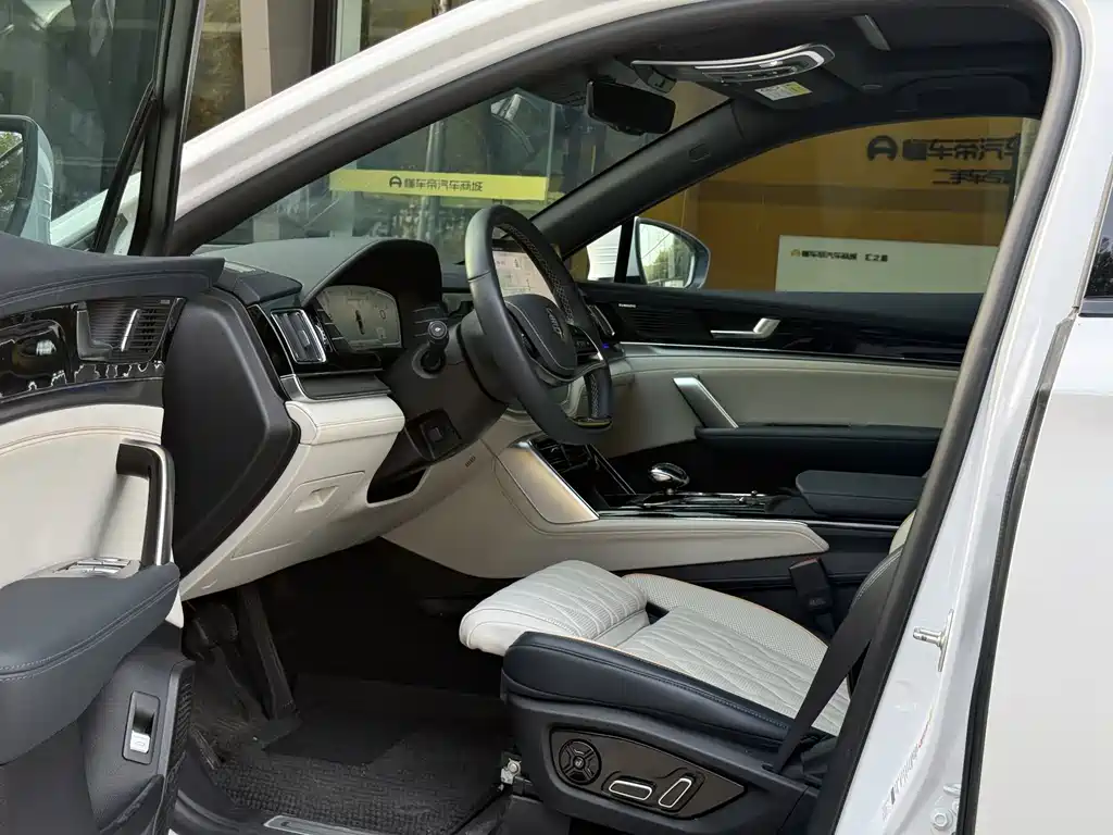 Tang NEV DM-p 215 KM 4 WD Flagship