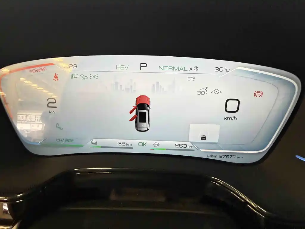 Tang NEV DM-p 215 KM 4 WD Flagship