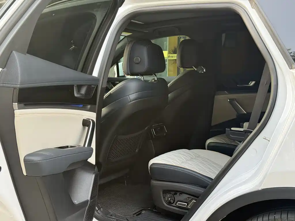 Tang NEV DM-p 215 KM 4 WD Flagship