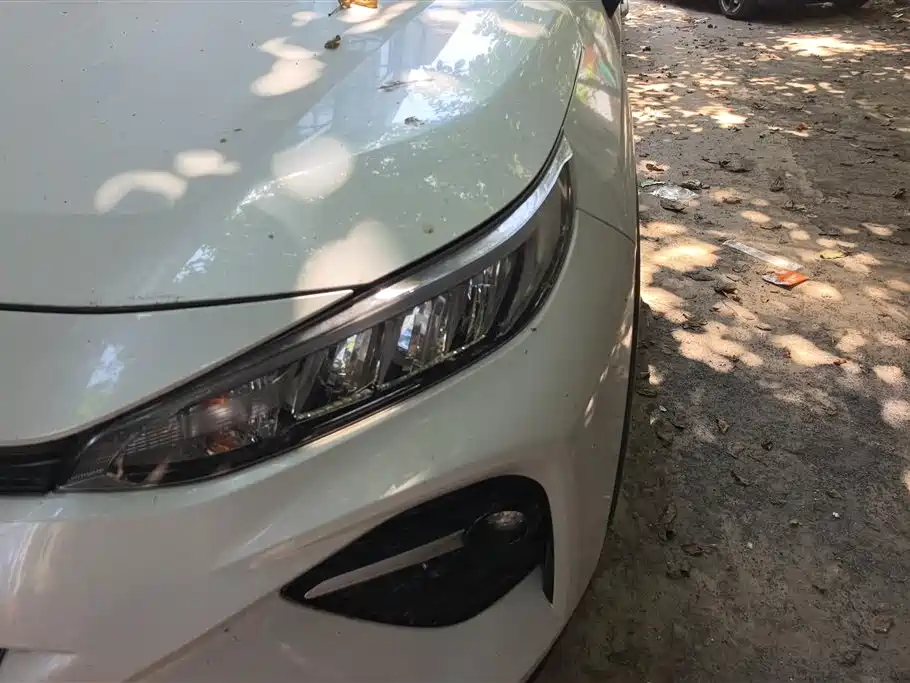 Wildlander 2.0 L CVT 2 WD Luxury