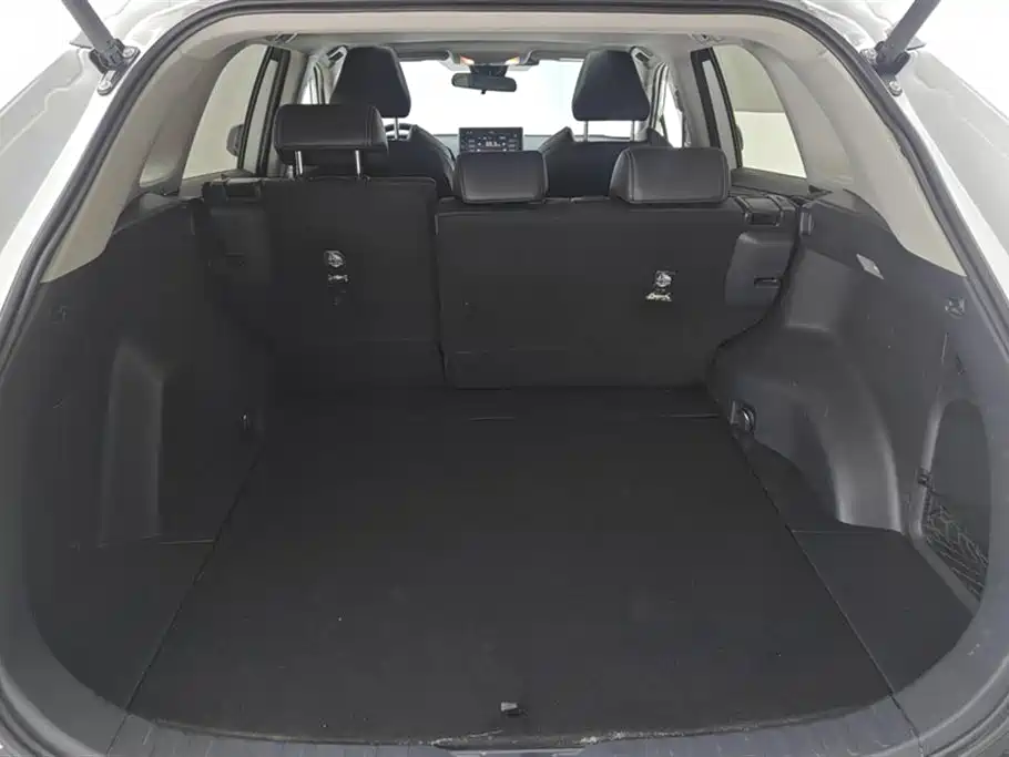 Wildlander 2.0 L CVT 4 WD Luxury