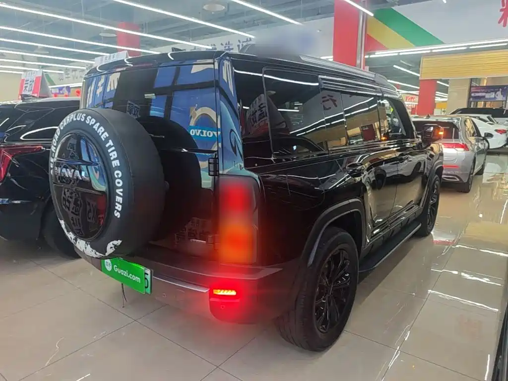 Haval Menglong NEV Hi4 102 Pro