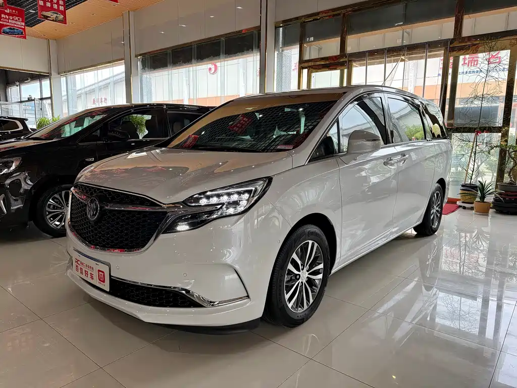 Buick GL8 ES LaCrosse 653 T Premium