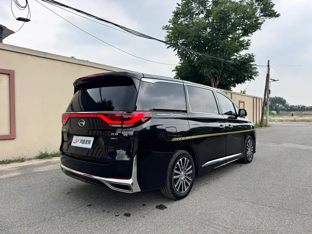 GAC Trumpchi M8 Leading Show Series 390 T Supreme