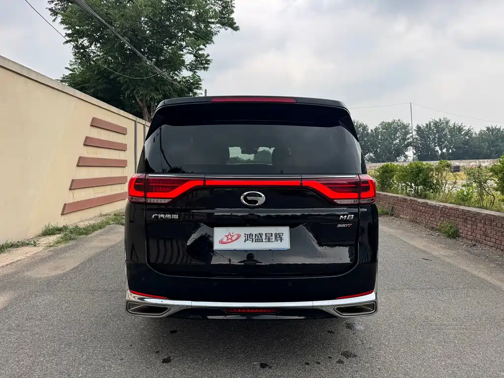 GAC Trumpchi M8 Leading Show Series 390 T Supreme