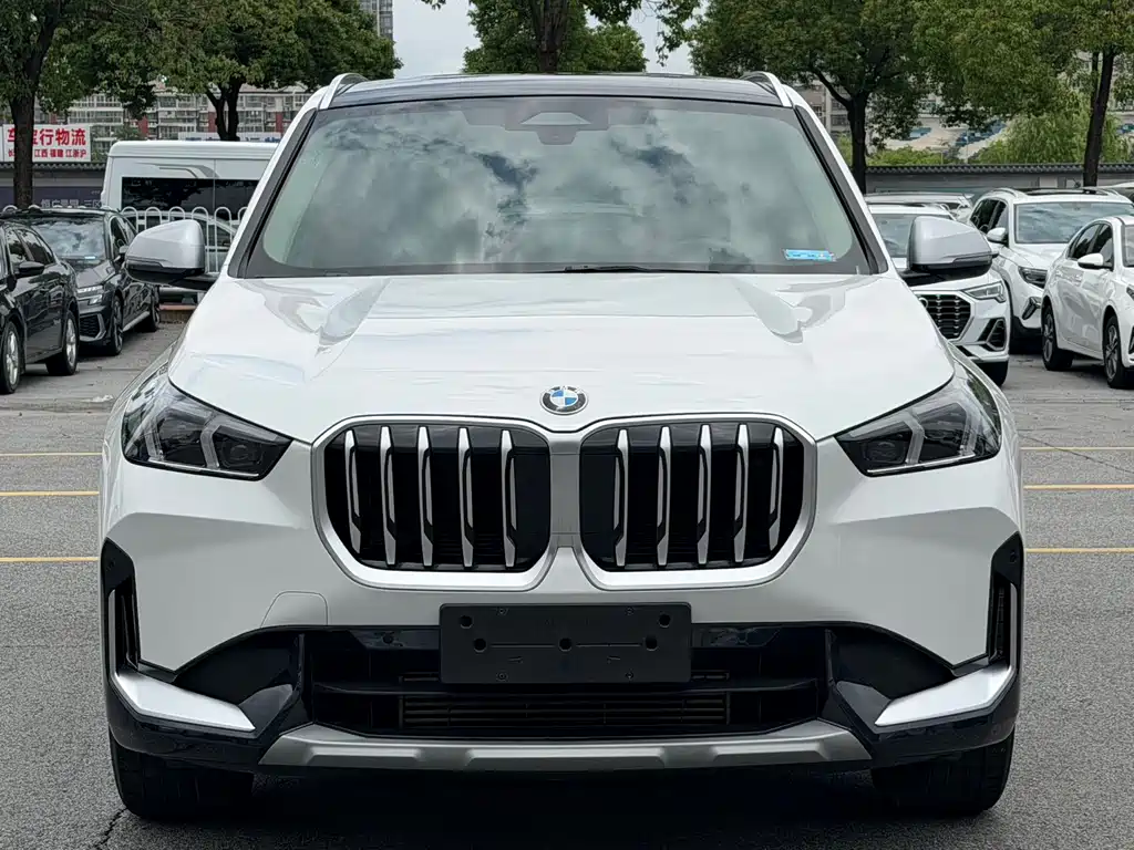 BMW X1 sDrive20 Li X Design Package