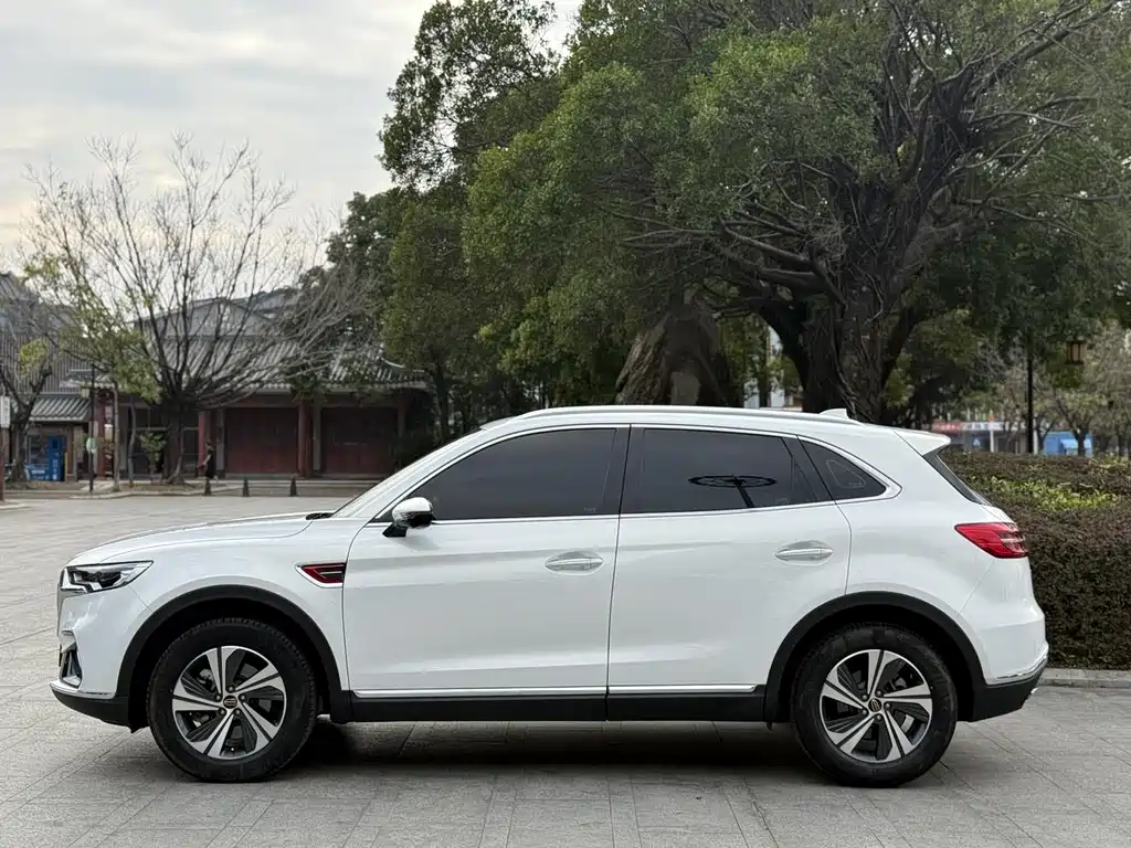 Hongqi HS5 2.0 T Connected Flagship Enjoyment