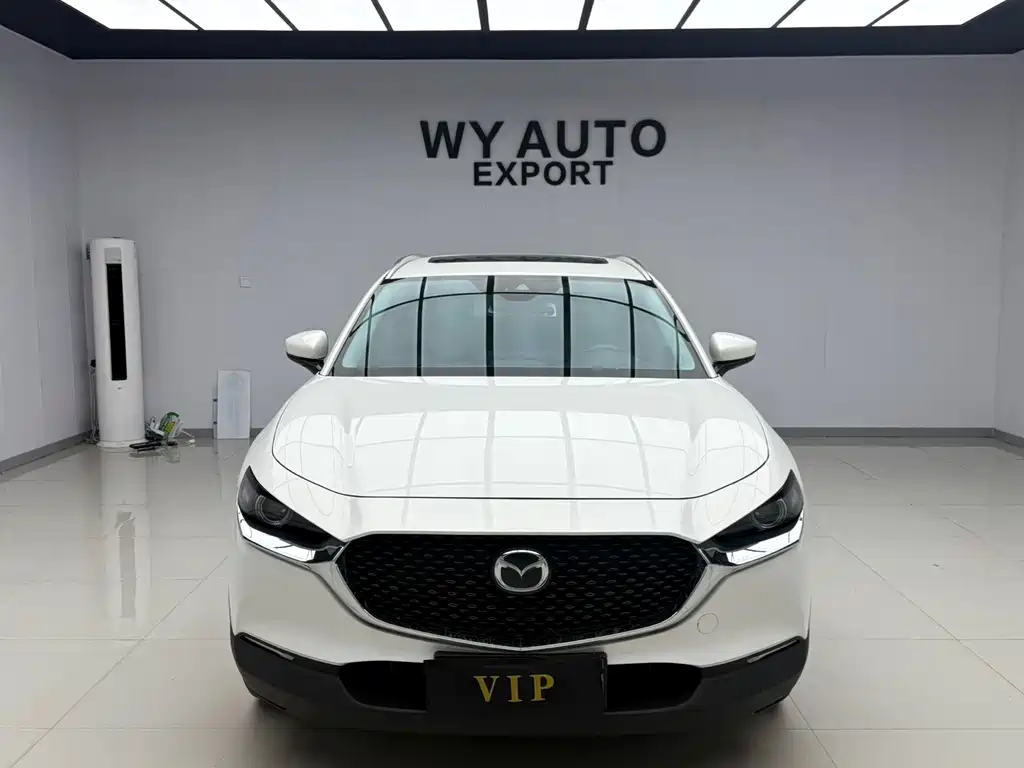 Mazda CX-30 2.0 L Auto Jiayue