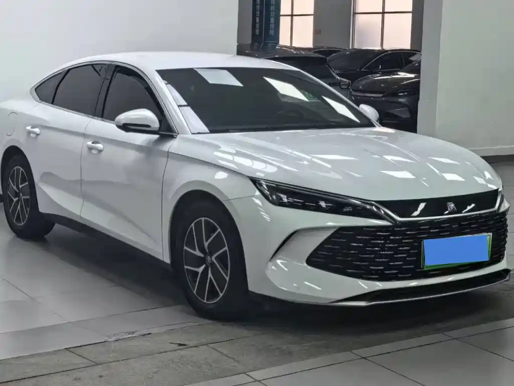 Qin L DM-i 80 KM Transcend