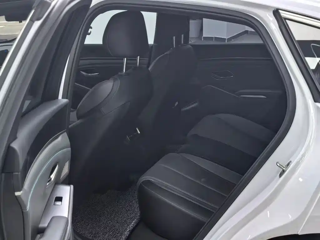 Qin L DM-i 80 KM Transcend