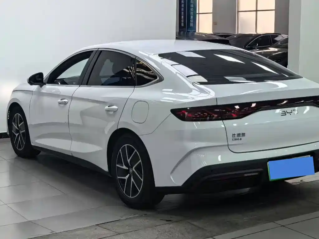 Qin L DM-i 80 KM Transcend