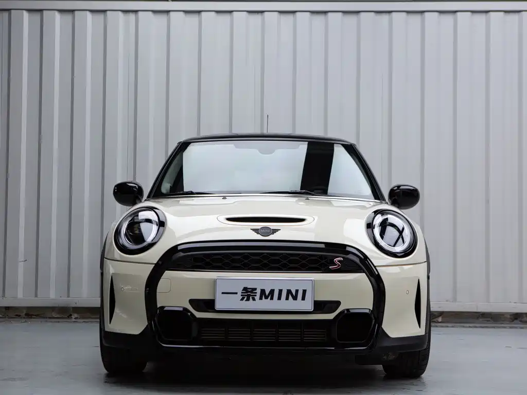 MINI 2.0 T COOPER S Artist
