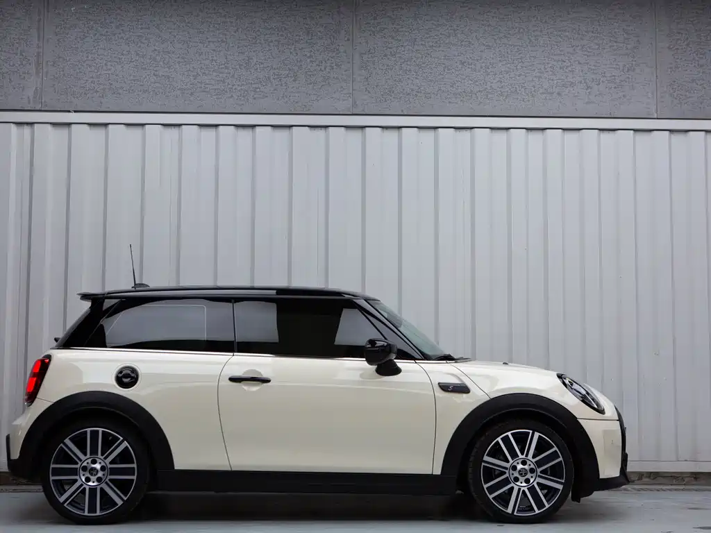 MINI 2.0 T COOPER S Artist