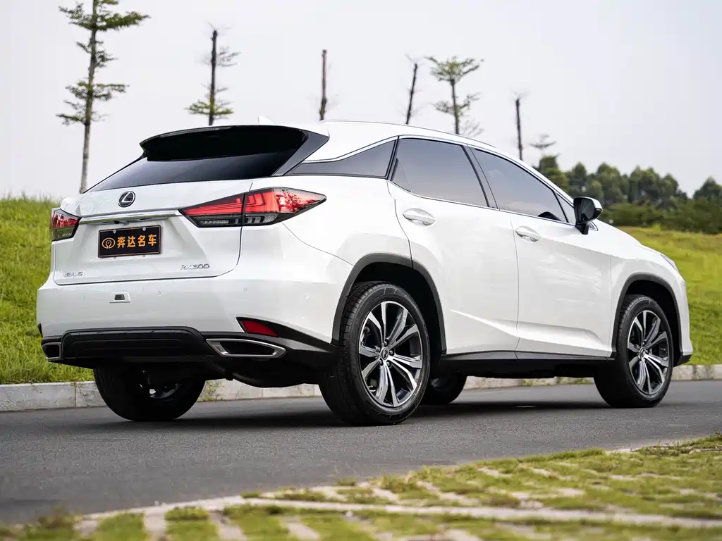 Lexus RX 300 4 WD Special Edition