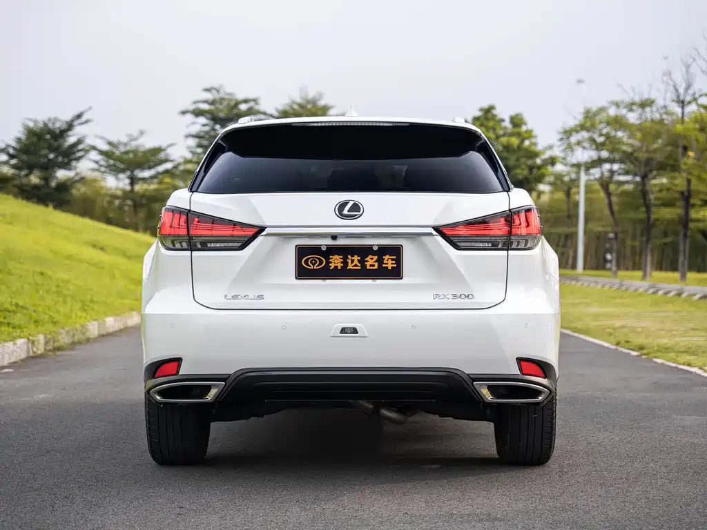 Lexus RX 300 4 WD Special Edition
