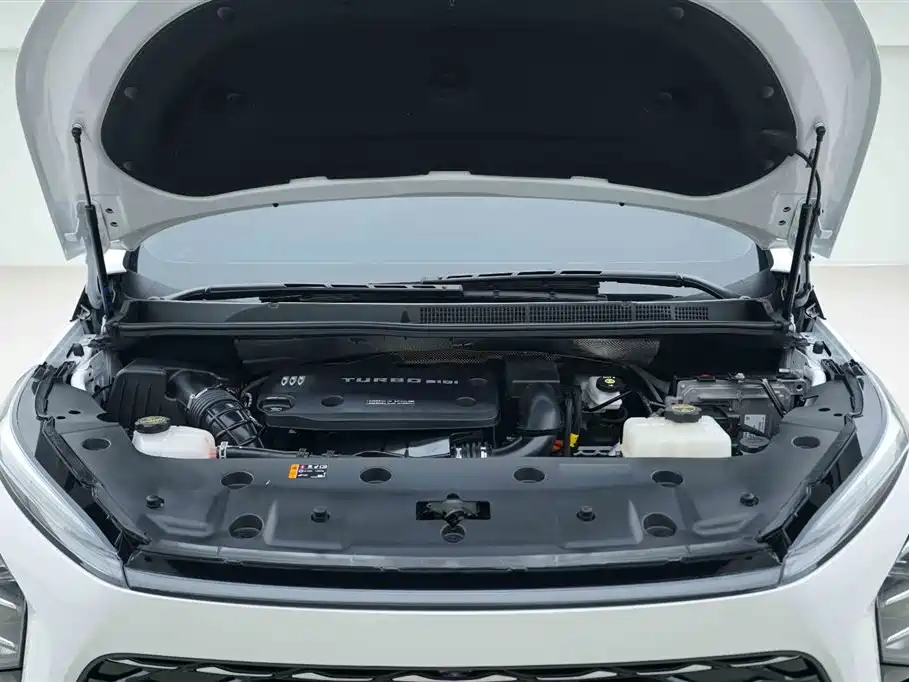Buick GL8 NEV LaCrosse Premium 7-seat