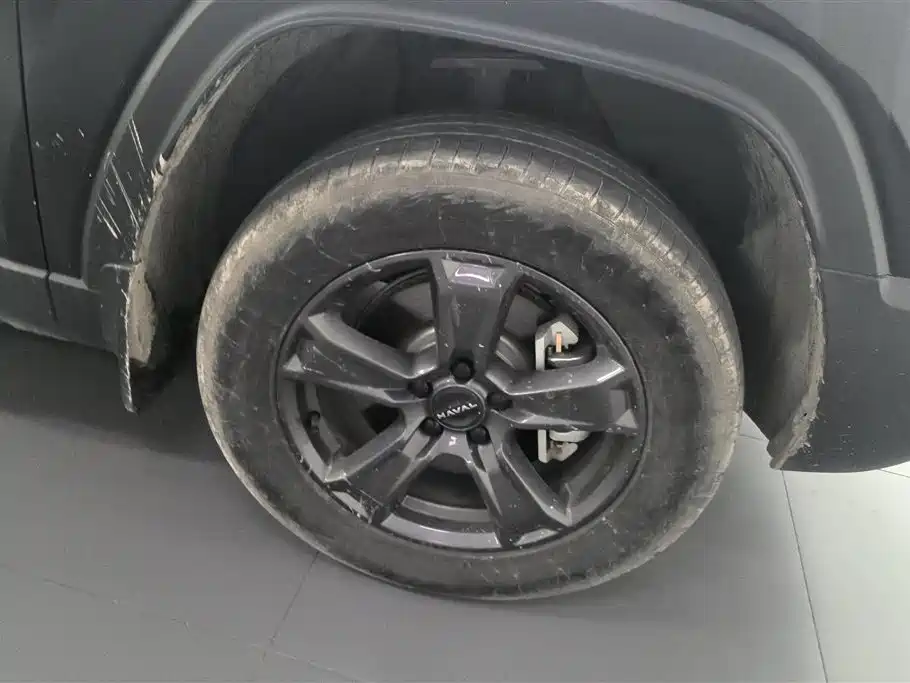 Haval Menglong NEV Hi4 102 Explorer
