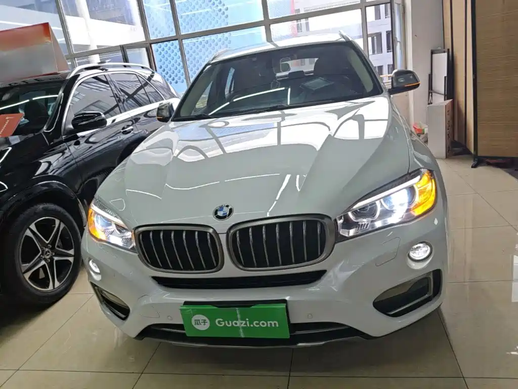 BMW X6 xDrive35 i Leading