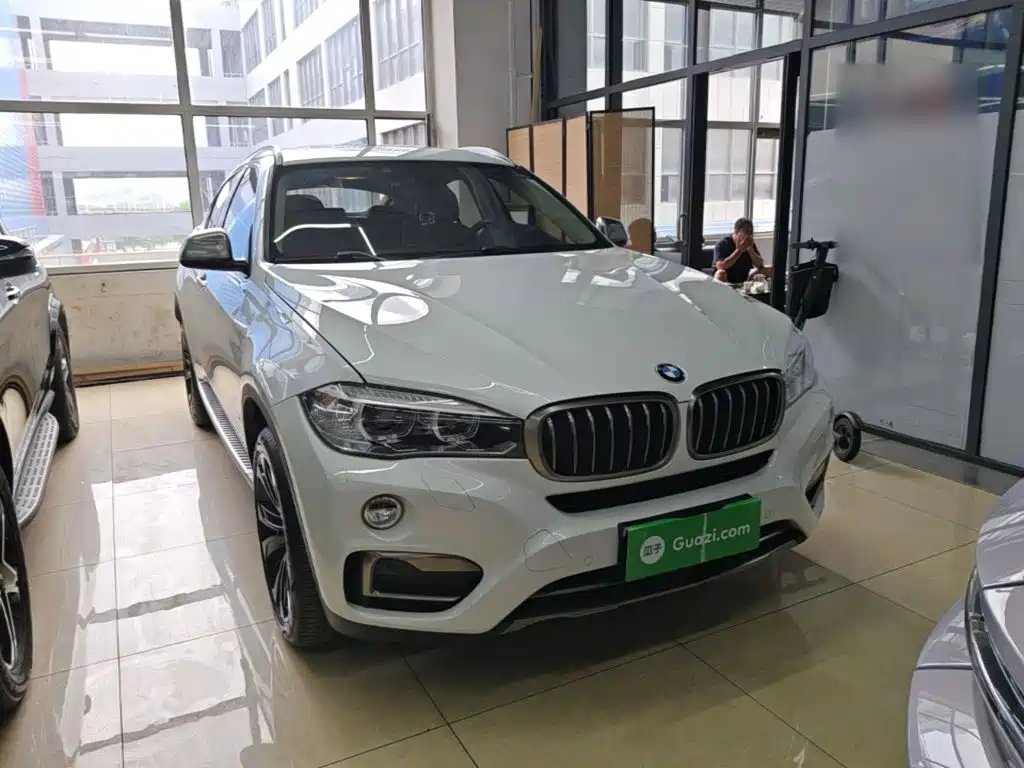 BMW X6 xDrive35 i Leading