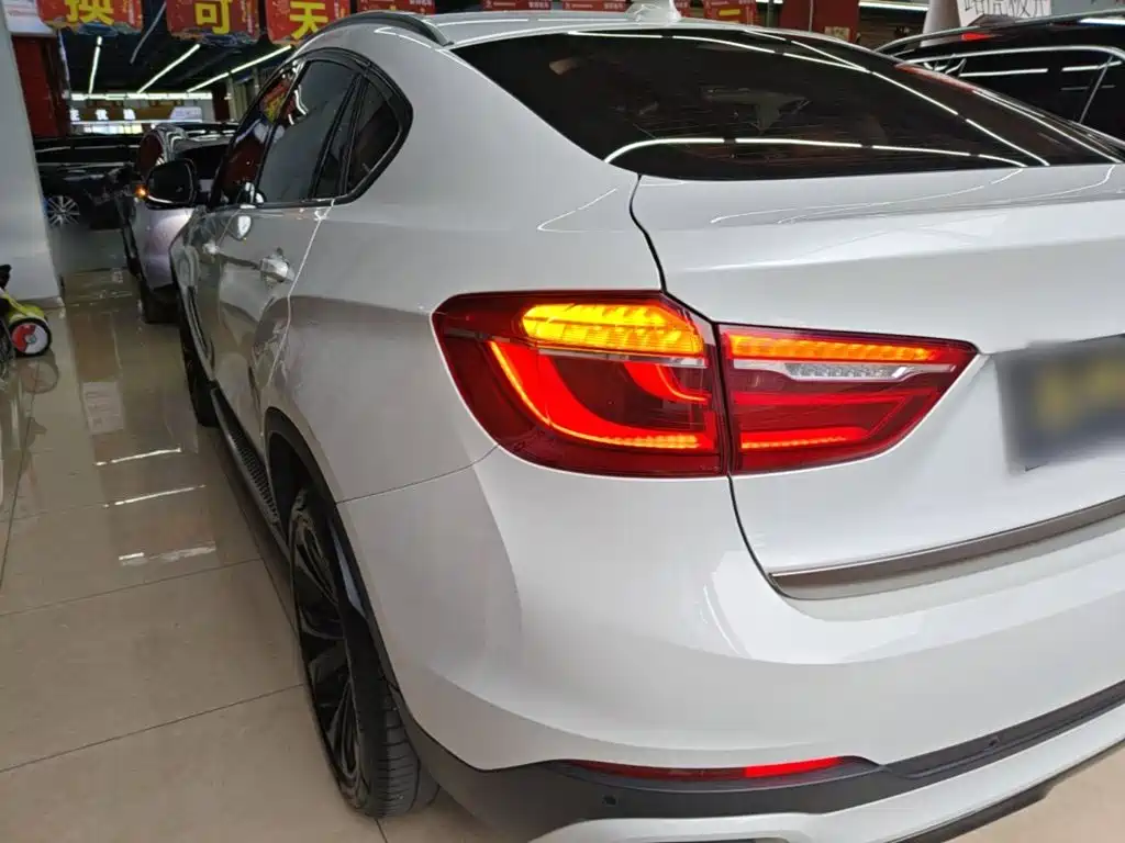 BMW X6 xDrive35 i Leading