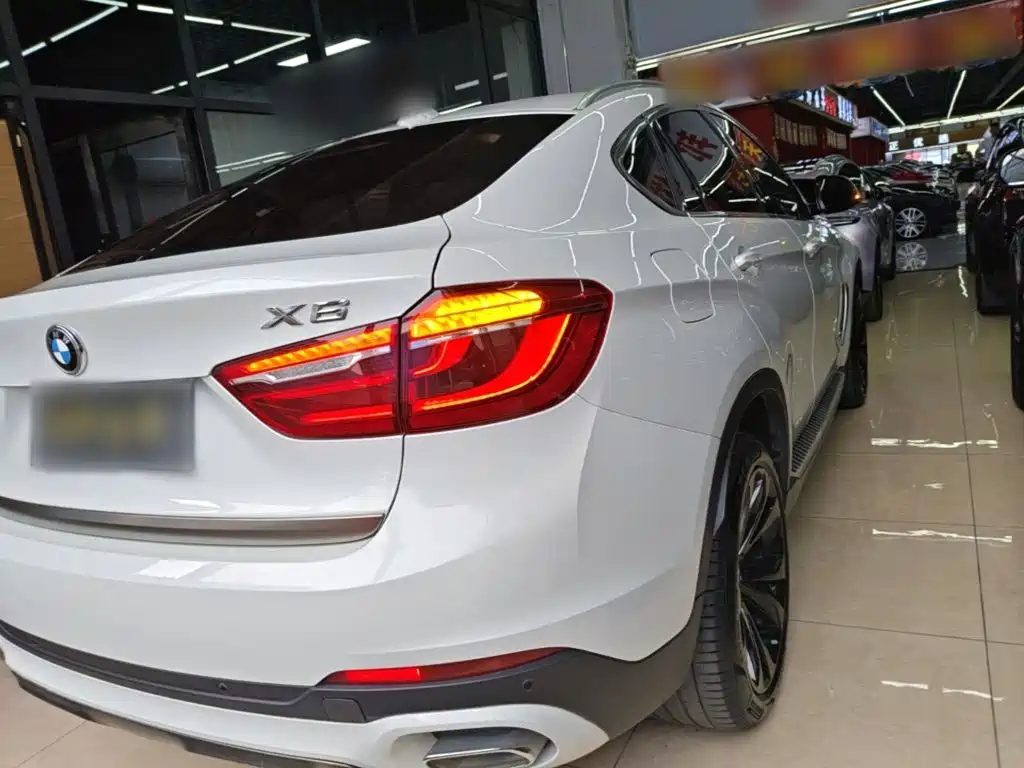 BMW X6 xDrive35 i Leading