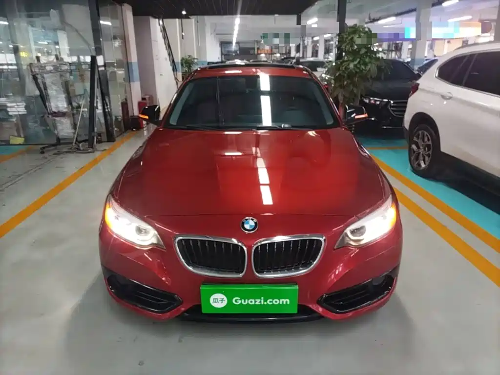 BMW 2 Series (Import) 220 i Sport Design Package