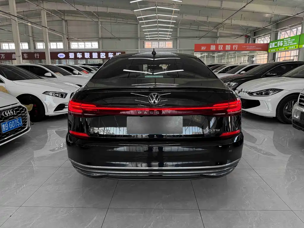 Passat 帕萨特 2023款 280 TSI 星空精英版