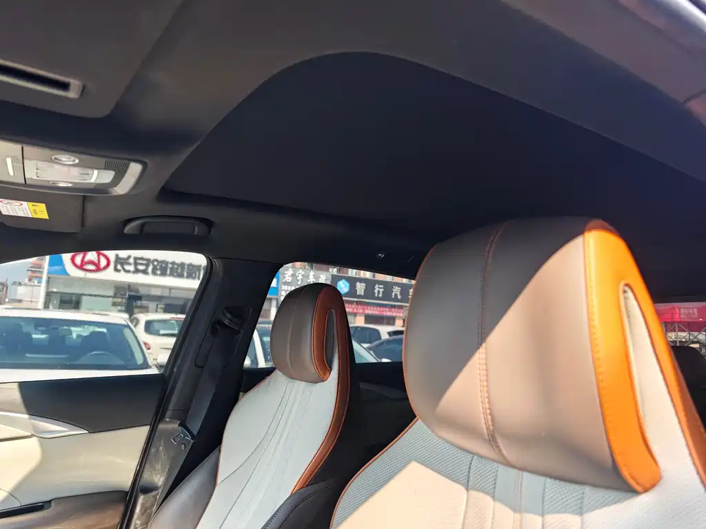 Song Pro NEV DM-i 110 km Flagship Pro
