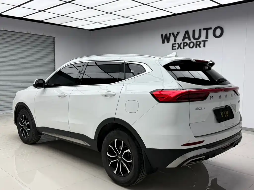 Haval H6 China Style 1.5 T Auto Urban