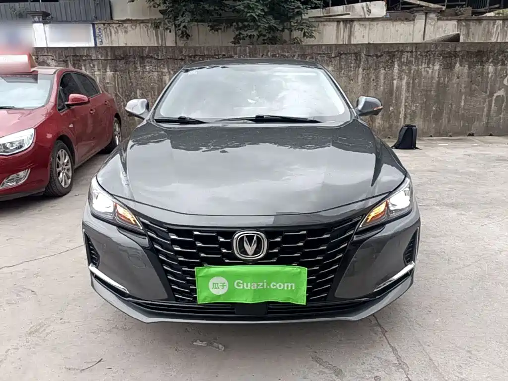 Ruicheng CC Blue Whale 1.5 T DCT Luxury