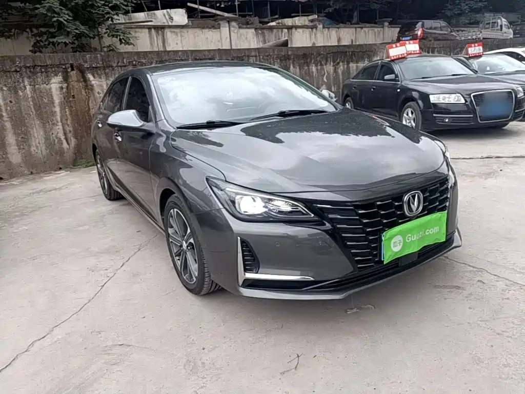 Ruicheng CC Blue Whale 1.5 T DCT Luxury