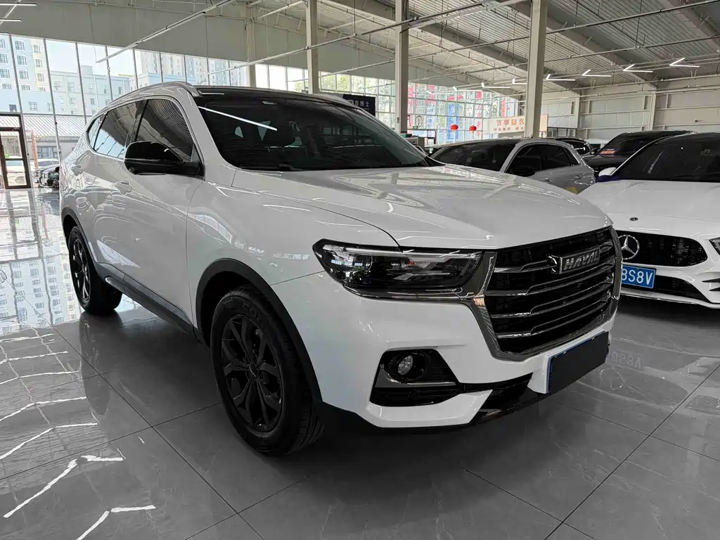 Haval H6 China Style 1.5 T Auto Champion