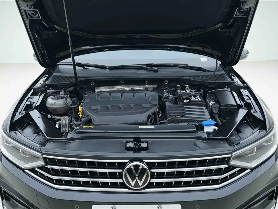 Magotan Facelift II Public Enjoyment 330 TSI DSG Luxury