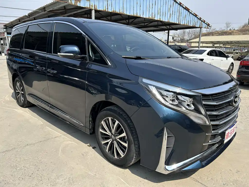 GAC Trumpchi M8 Facelift Leading Show Series 390 T Luxury