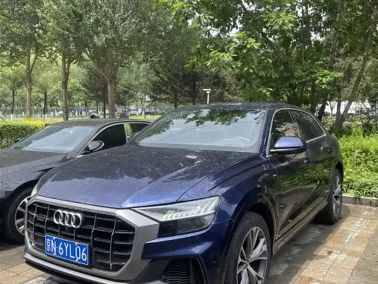 Audi Q8 55 TFSI Select Dynamic