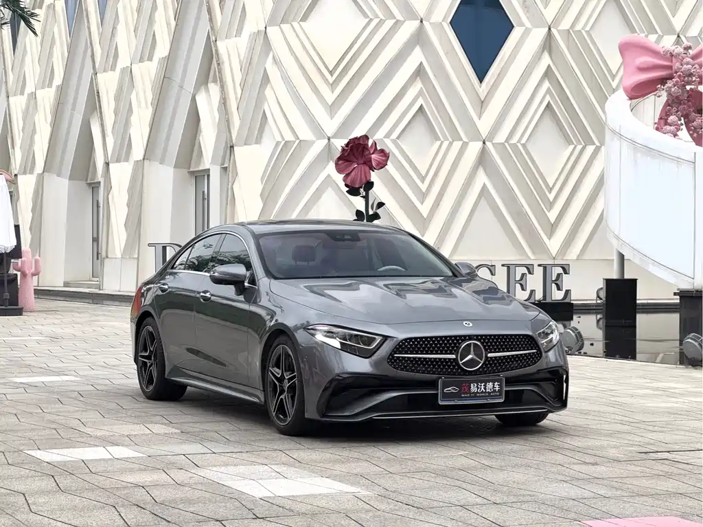 Mercedes-Benz CLS CLS 300 Luxury