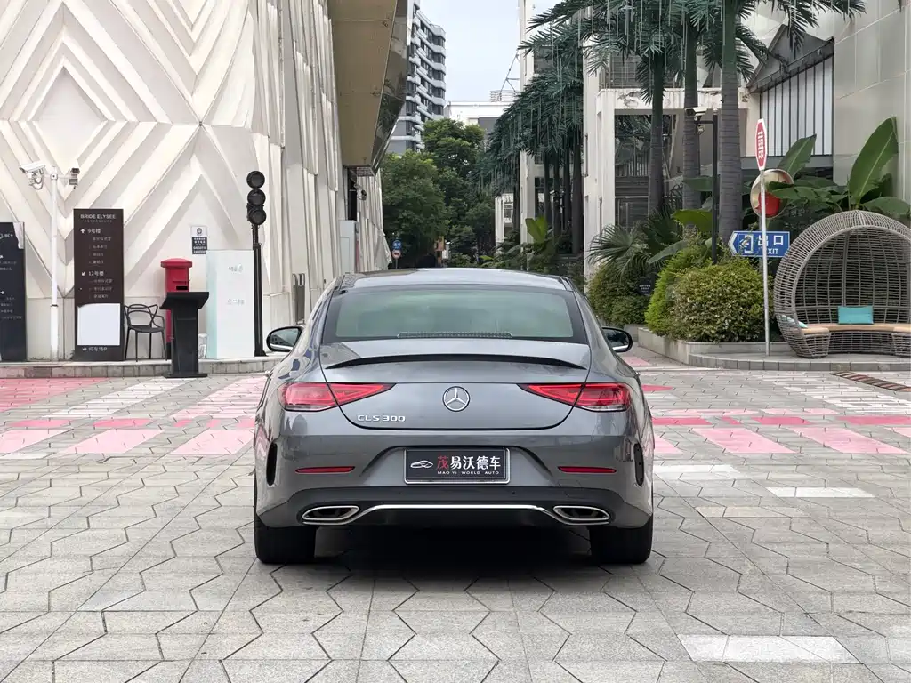 Mercedes-Benz CLS CLS 300 Luxury