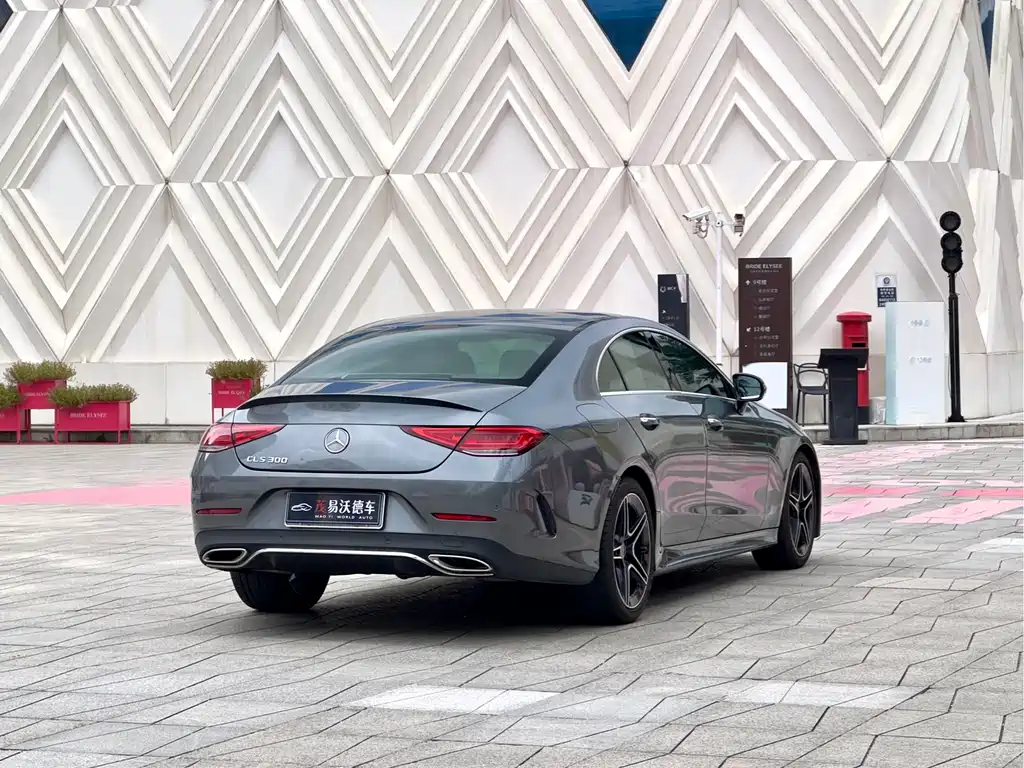 Mercedes-Benz CLS CLS 300 Luxury
